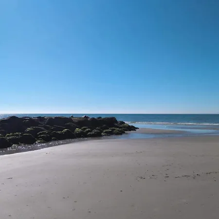 8 Person In Blåvand