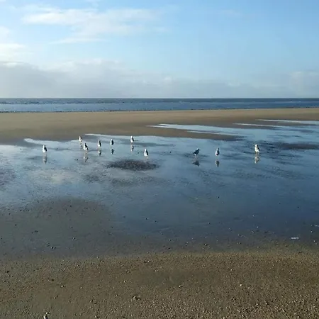 8 Person In Сasa de vacaciones Blåvand