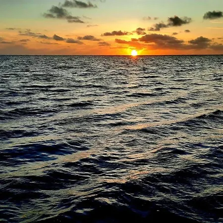 Σπίτι διακοπών 8 Person In Blåvand