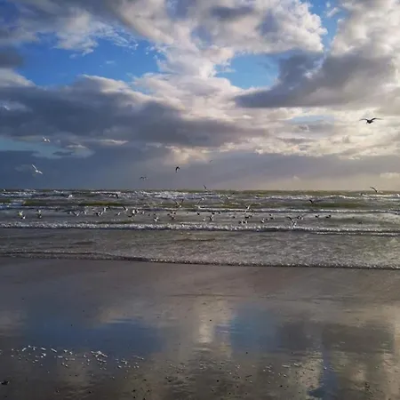 8 Person In * Blåvand