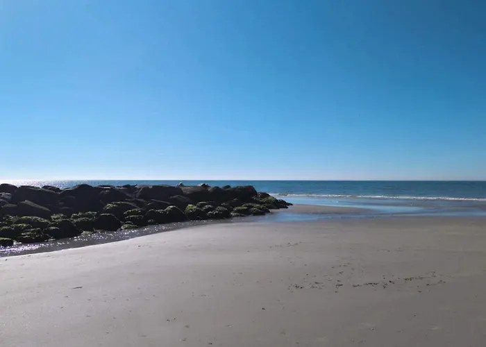 8 Person In Blåvand