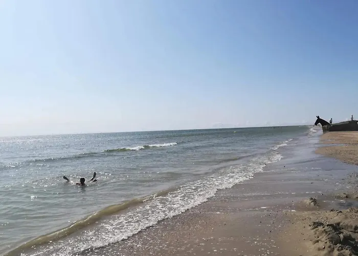 Сasa de vacaciones 8 Person In *