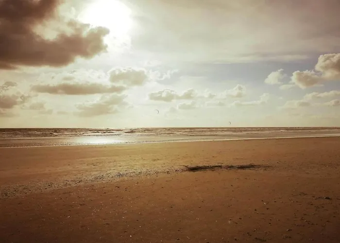 8 Person In Blåvand